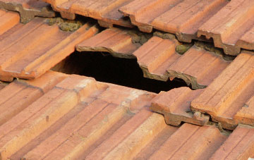 roof repair Nethergate, Norfolk