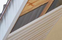 rated Nethergate soffit repair companies